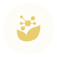 Rich in Antioxidants