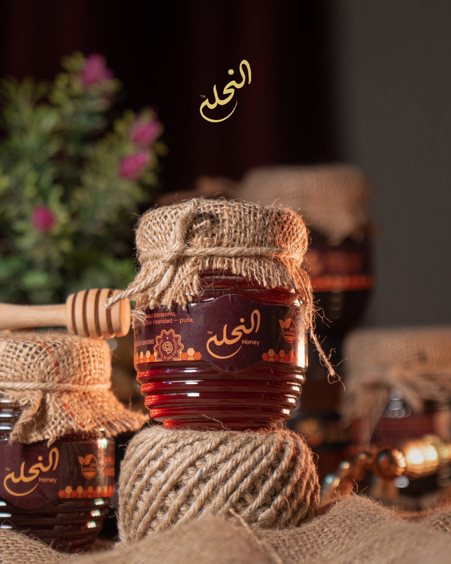 Premium Sidr Honey ( بیری )